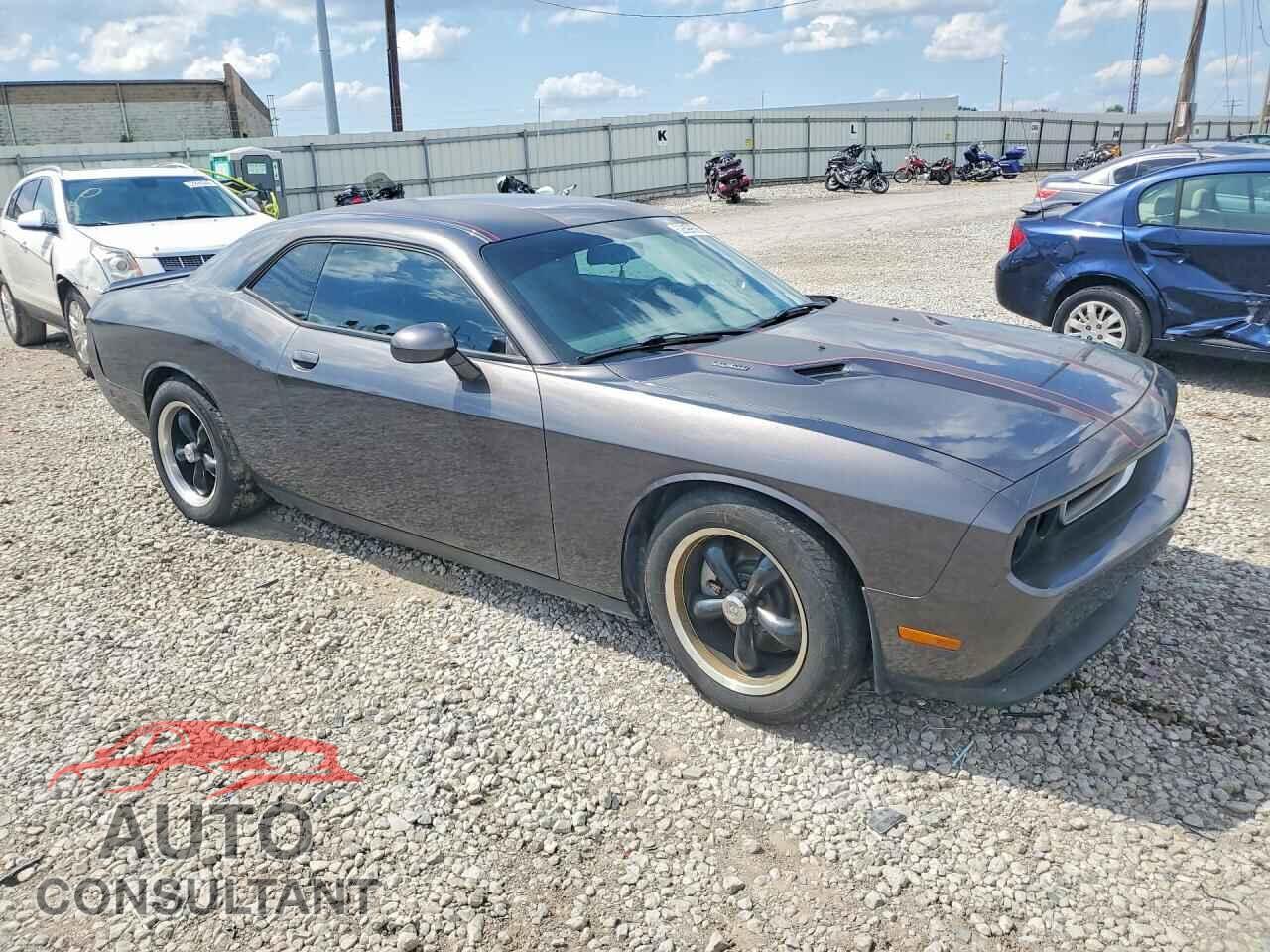 DODGE CHALLENGER 2014 - 2C3CDYBT0EH306596