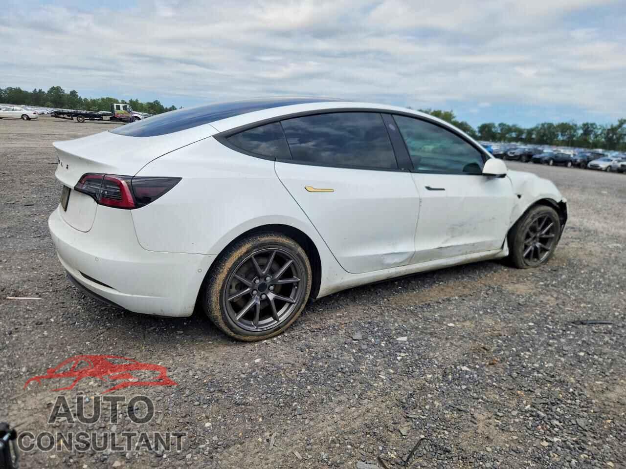 TESLA MODEL 3 2019 - 5YJ3E1EA2KF417808