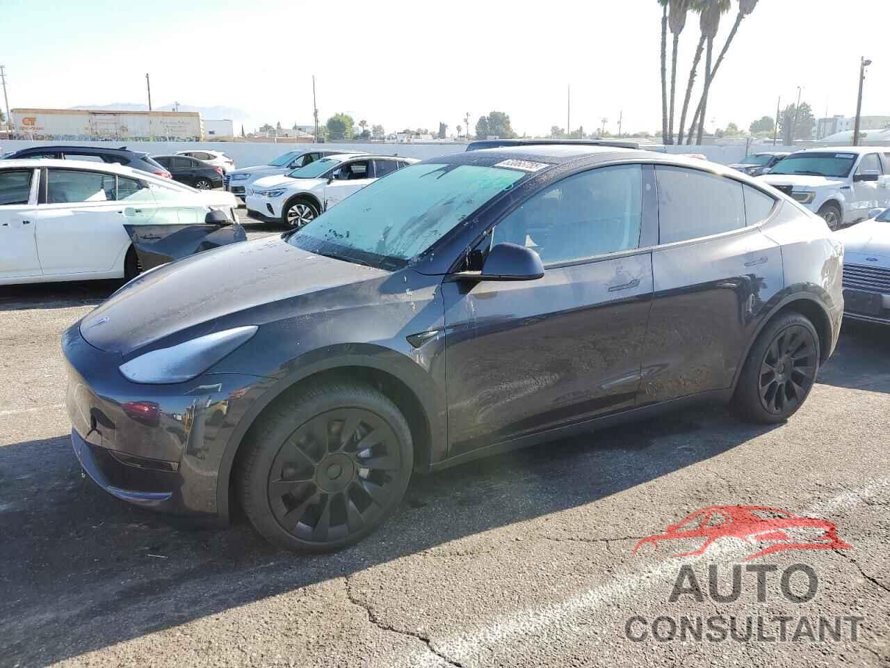 TESLA MODEL Y 2025 - 7SAYGDED2SF311146