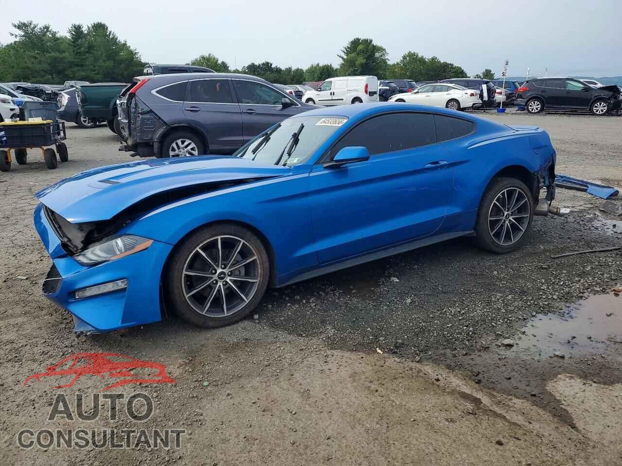 FORD MUSTANG 2019 - 1FA6P8THXK5117828