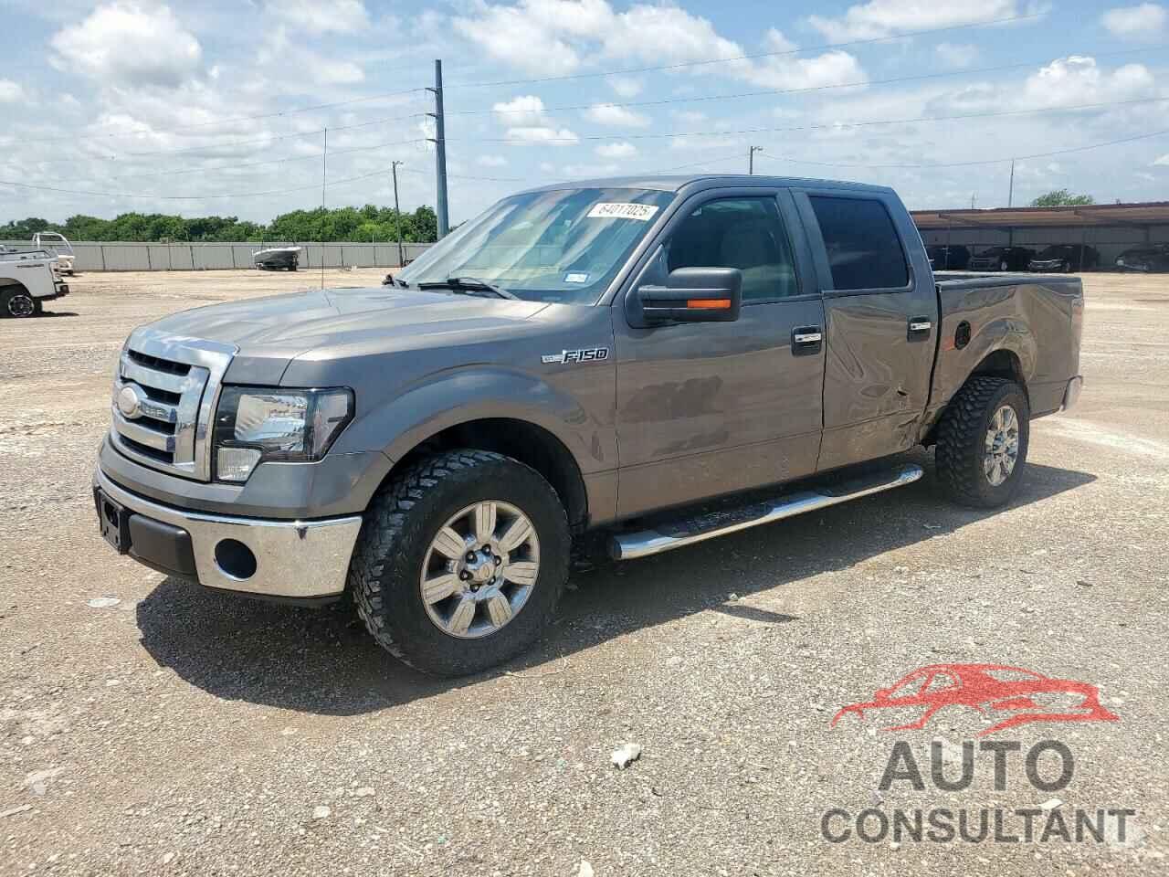 FORD F-150 2009 - 1FTRW12889FA17895