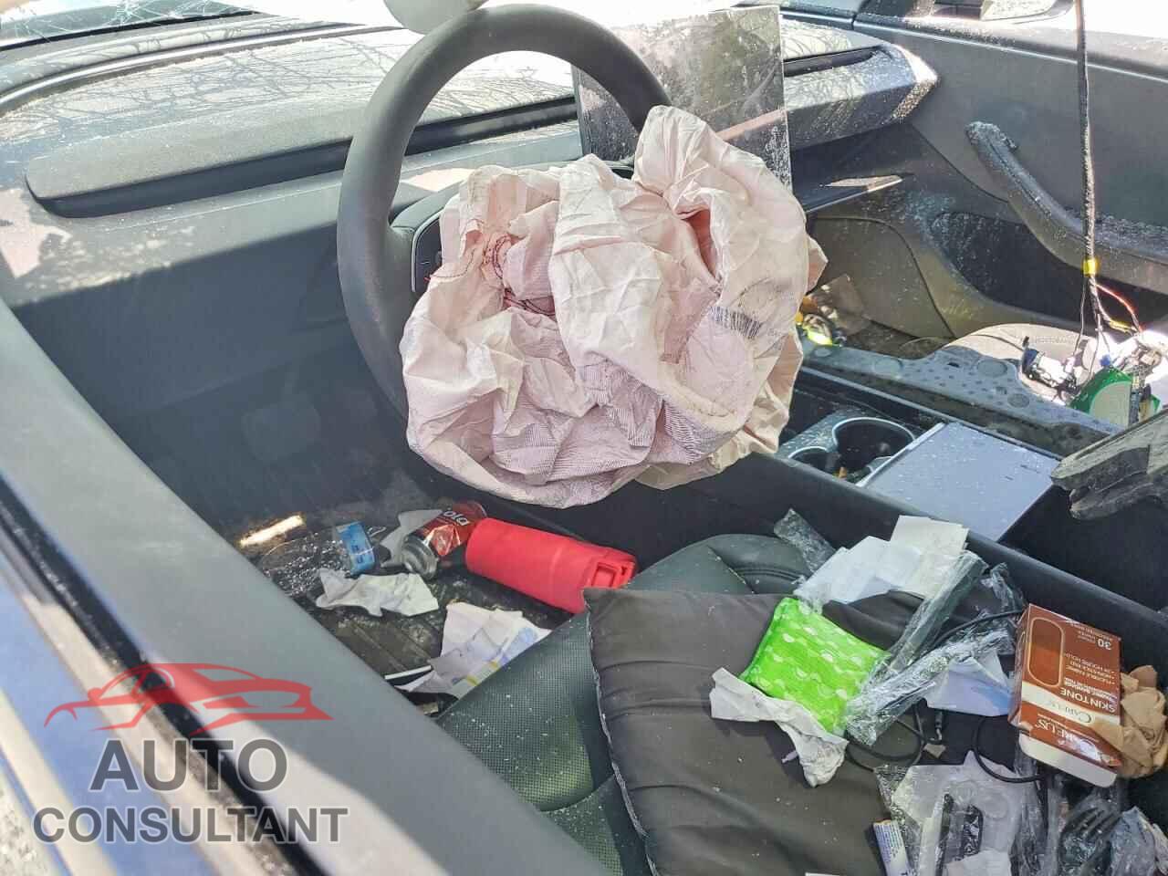 TESLA MODEL 3 2025 - 5YJ3E1EA6SF024278