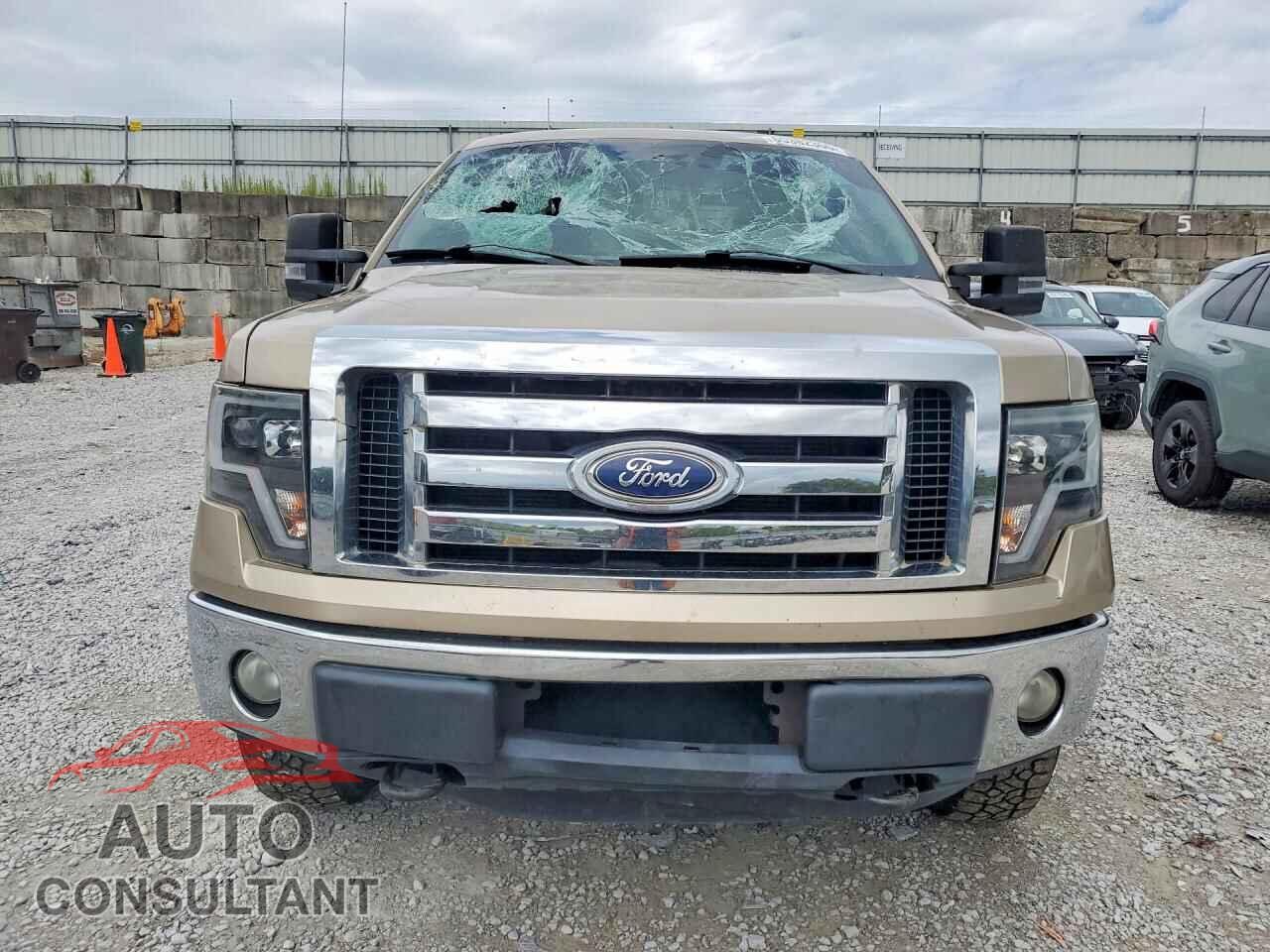 FORD F150 2012 - 1FTFX1EF6CFA43252