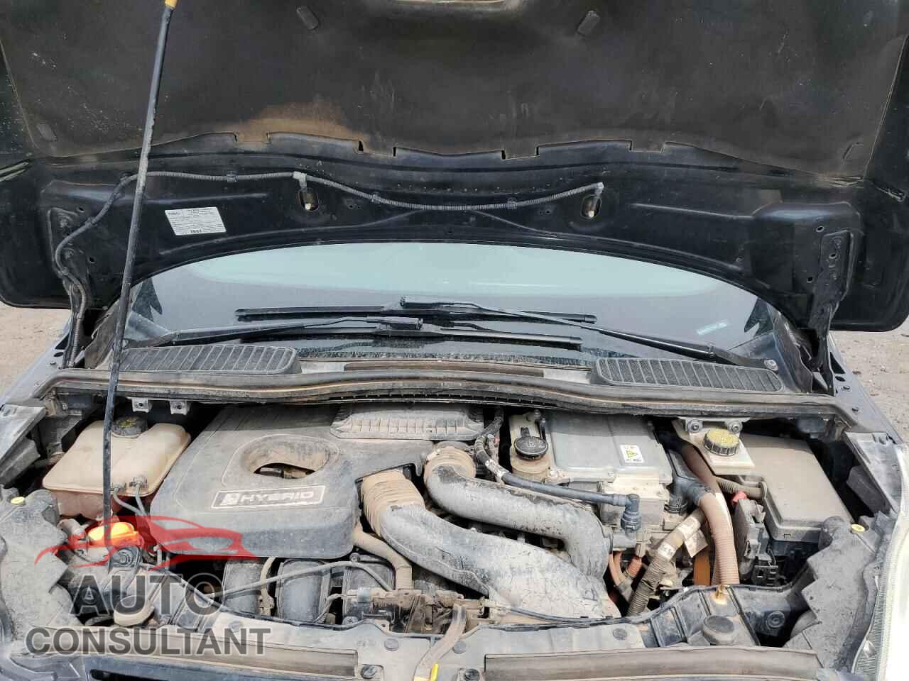 FORD CMAX 2015 - 1FADP5BU2FL113231