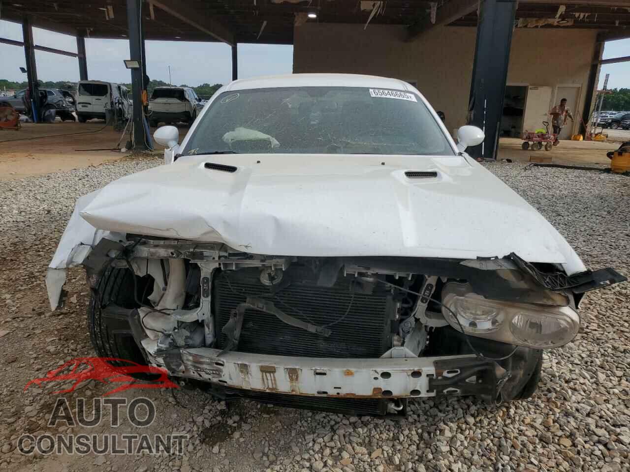 DODGE CHALLENGER 2013 - 2C3CDYAG3DH517830