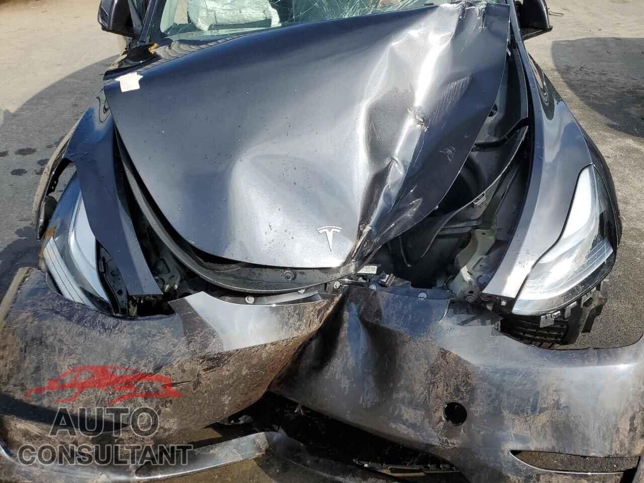TESLA MODEL Y 2024 - 7SAYGDEE6RF178149