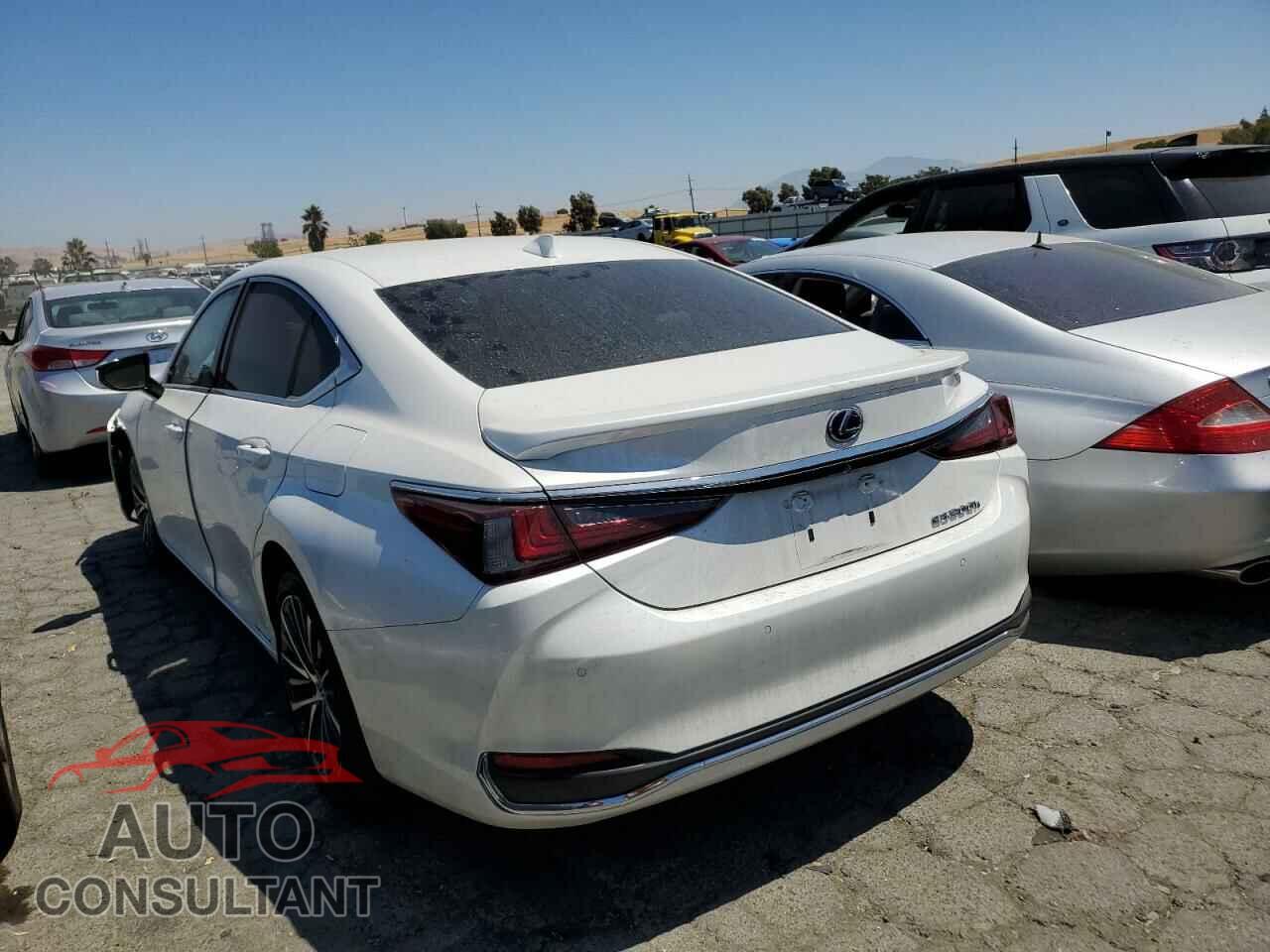 LEXUS ES300 2022 - 58ADA1C19NU016100