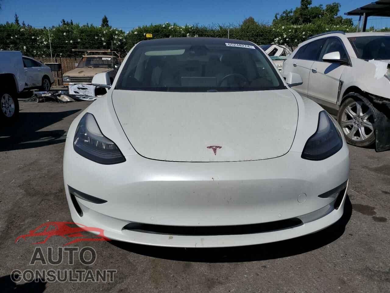 TESLA MODEL 3 2019 - 5YJ3E1EA5KF302149