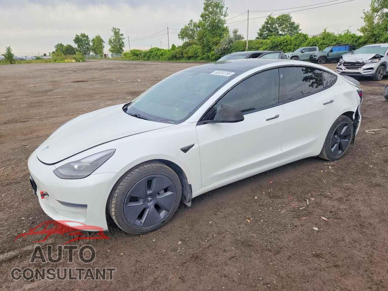 TESLA MODEL 3 2021 - 5YJ3E1EA9MF085241