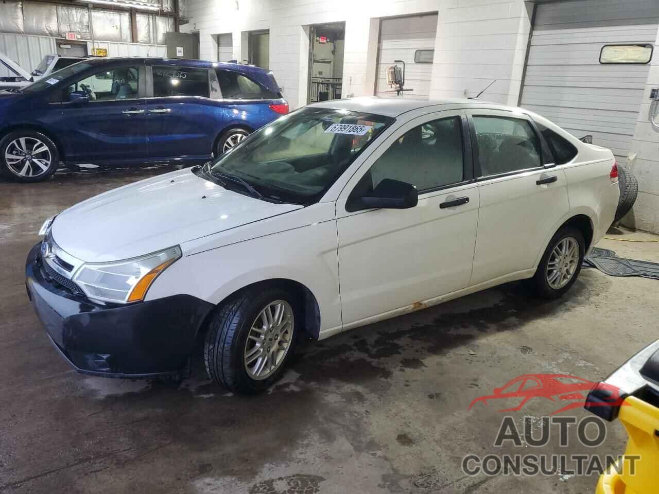 FORD FOCUS 2011 - 1FAHP3FN4BW162870