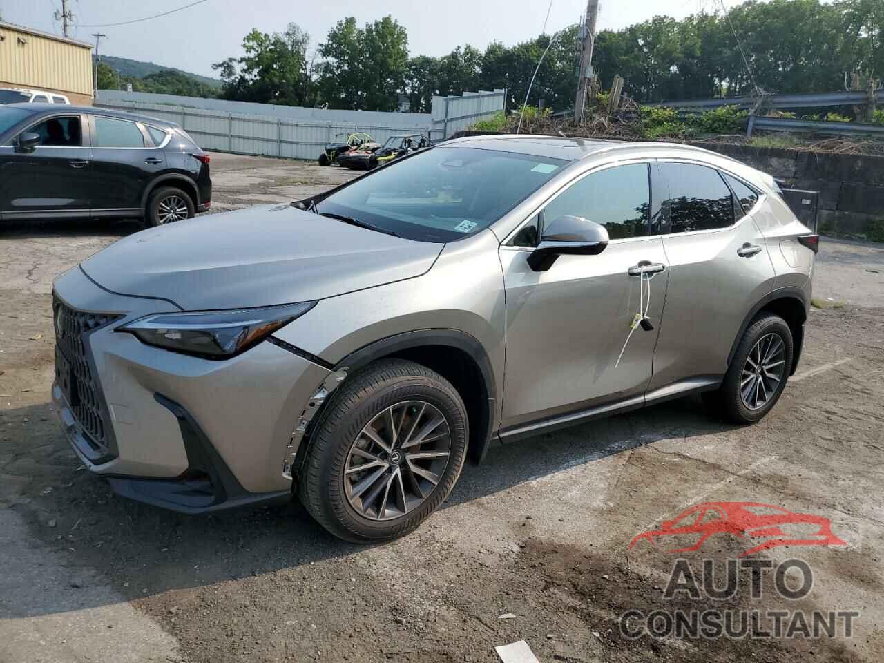 LEXUS NX 350 BAS 2024 - 2T2AGCEZ9RC057790