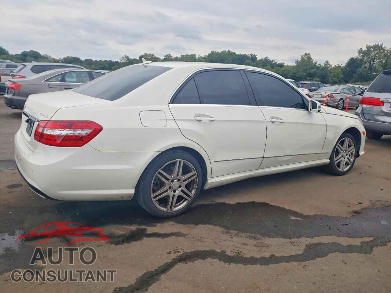 MERCEDES-BENZ E-CLASS 2010 - WDDHF9AB8AA138859