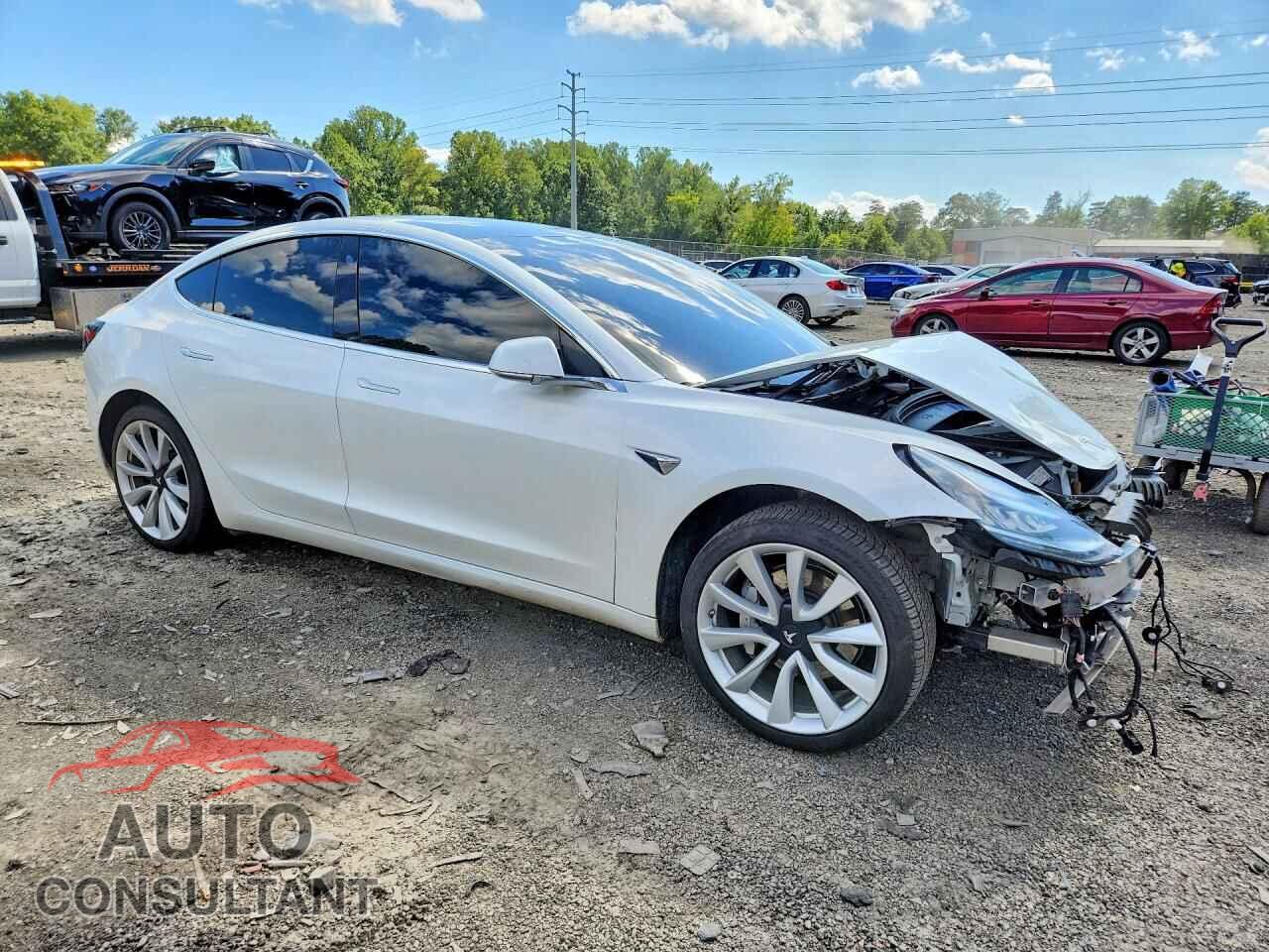 TESLA MODEL 3 2019 - 5YJ3E1EA5KF402557