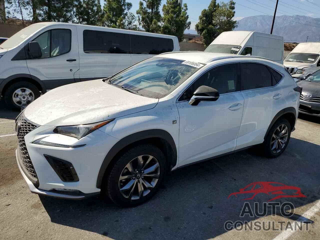 LEXUS NX 2019 - JTJYARBZ6K2138002