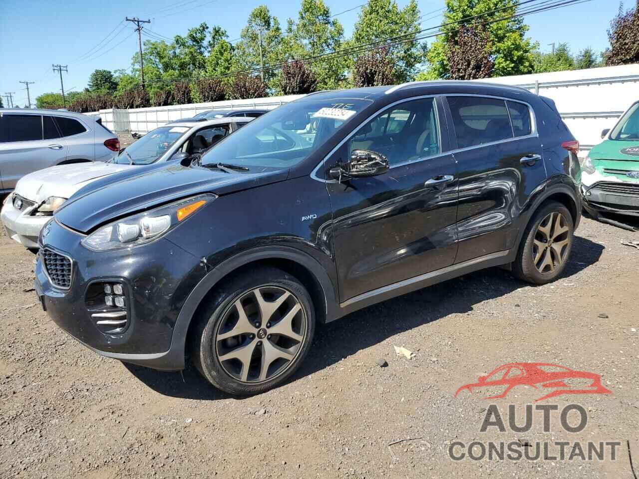 KIA SPORTAGE 2017 - KNDPRCA69H7077557