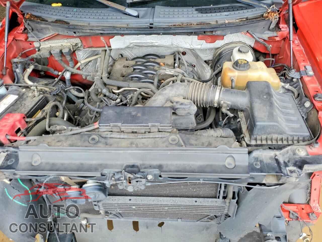 FORD F150 2011 - 1FTFW1CF6BKD09686