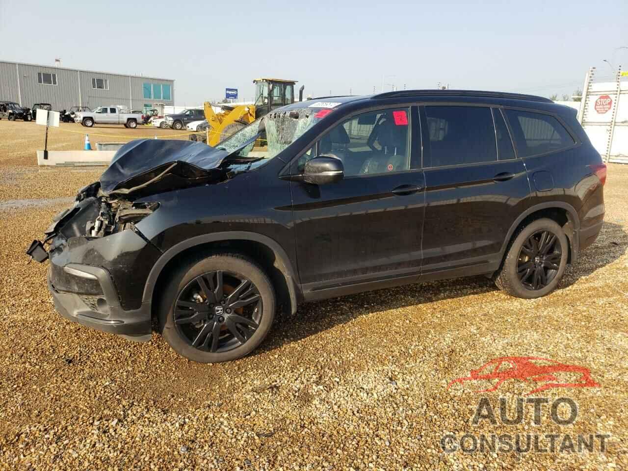 HONDA PILOT 2021 - 5FNYF6H03MB502677