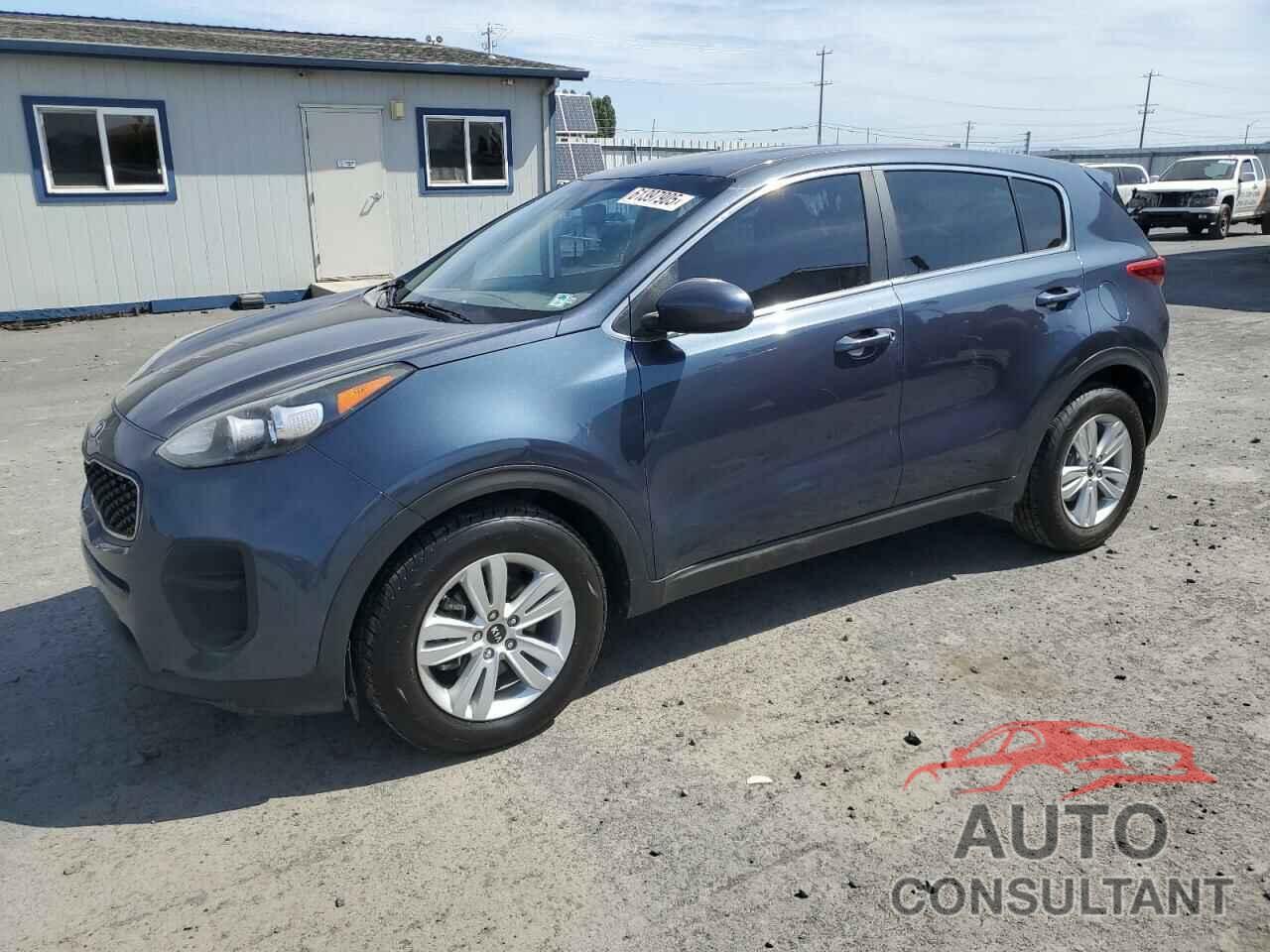 KIA SPORTAGE 2017 - KNDPM3AC9H7261546