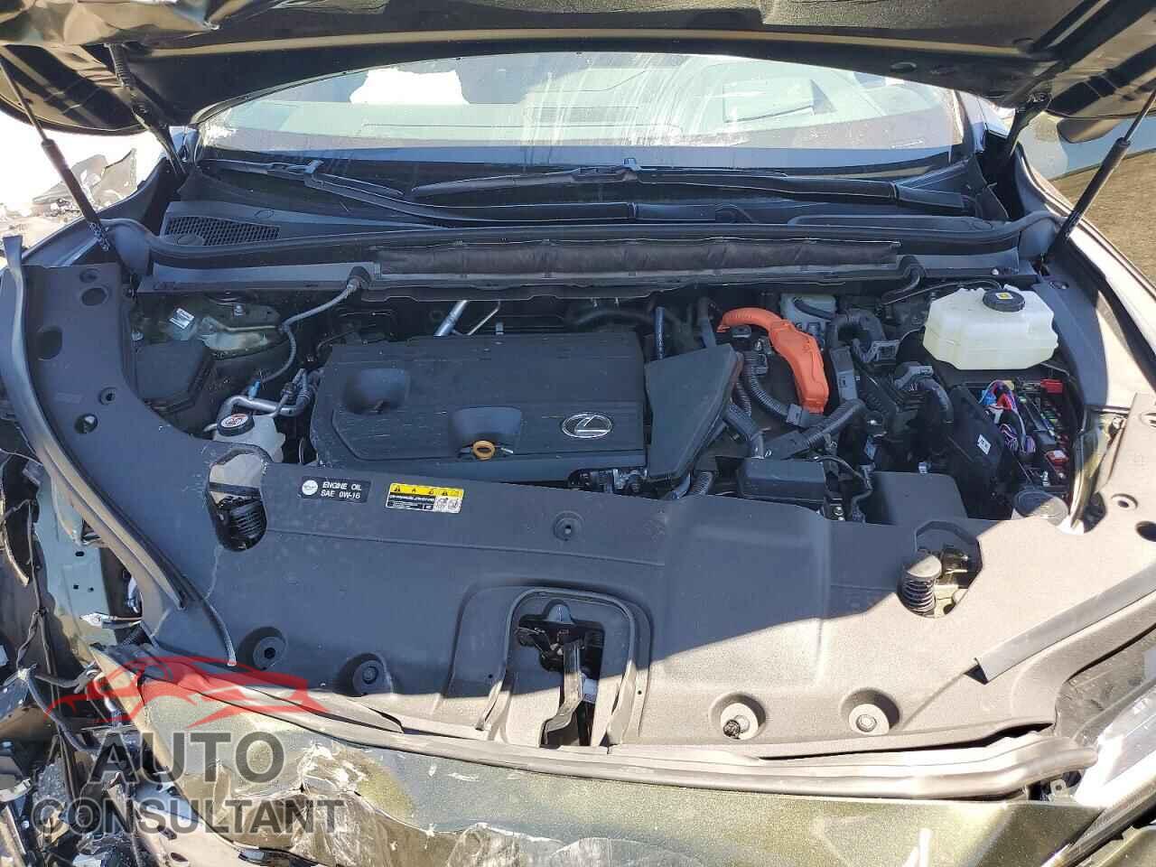 LEXUS UNKNOWN 2026 - 2T2BBMCA8TC108483