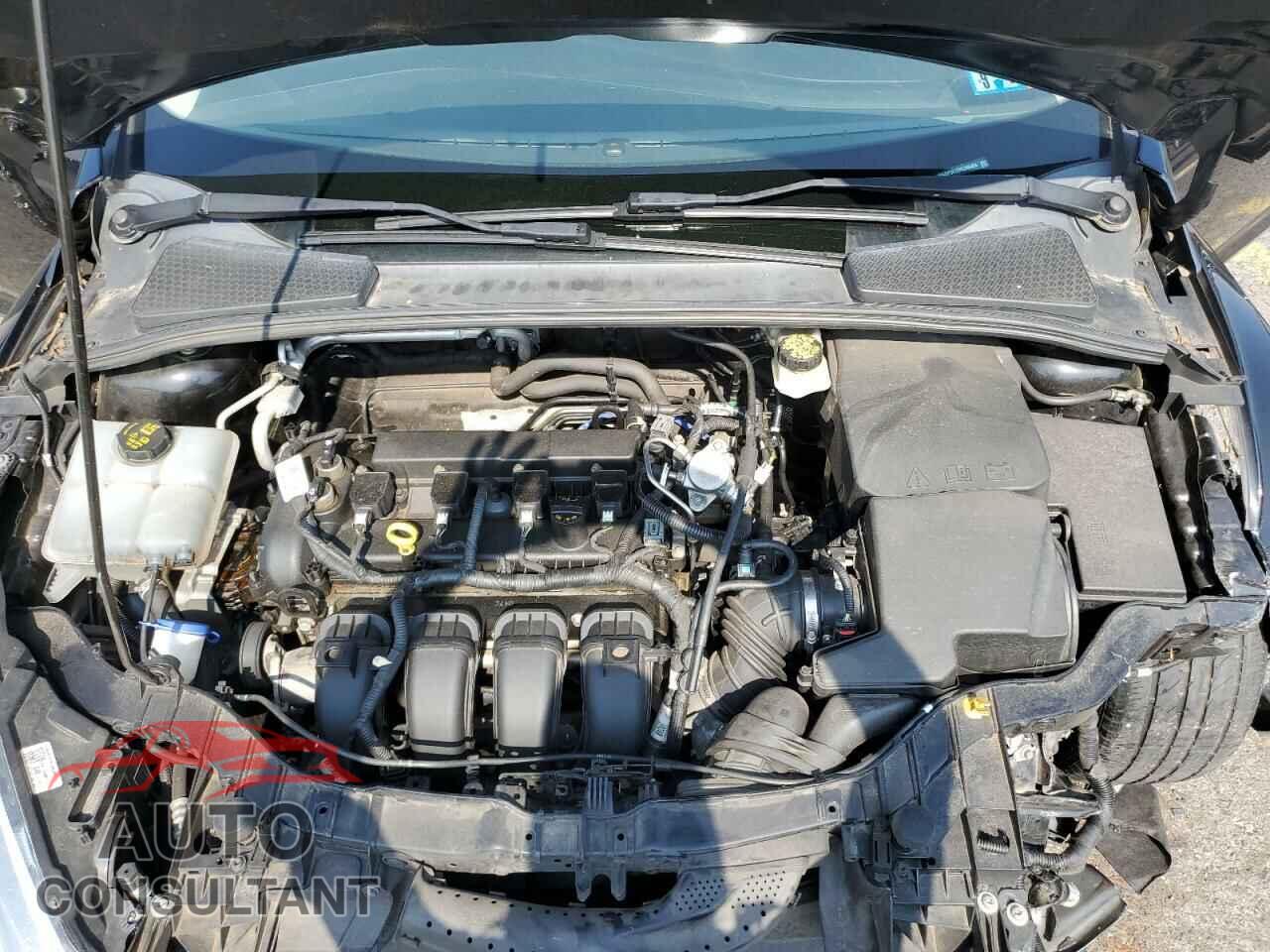 FORD FOCUS 2017 - 1FADP3K22HL246464