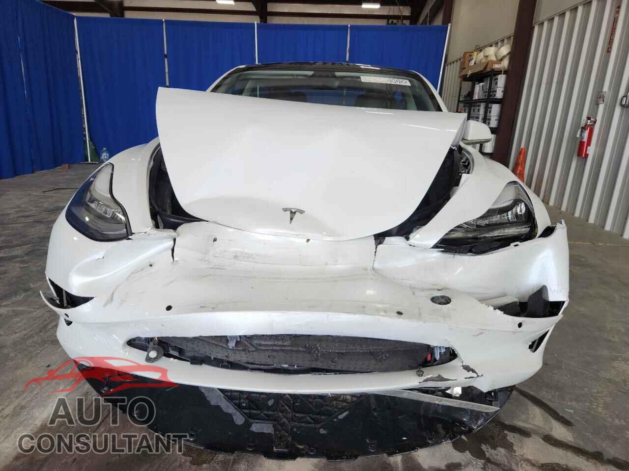 TESLA MODEL 3 2019 - 5YJ3E1EA0KF416009