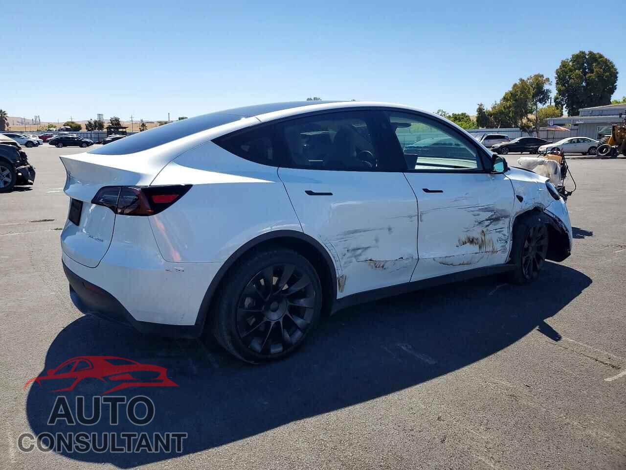 TESLA MODEL Y 2025 - 7SAYGDEE6SF234581