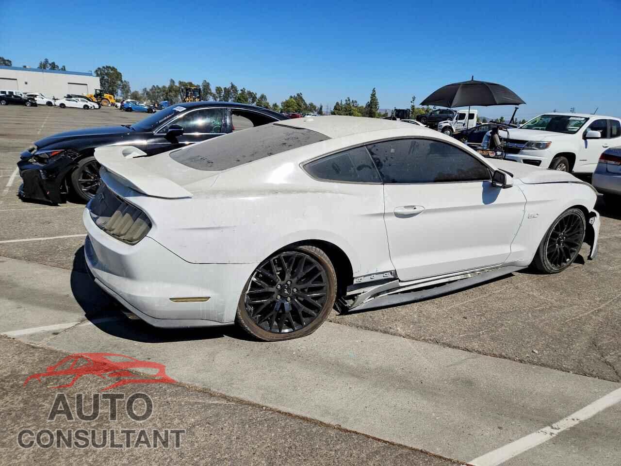 FORD MUSTANG 2019 - 1FA6P8CF3K5169218