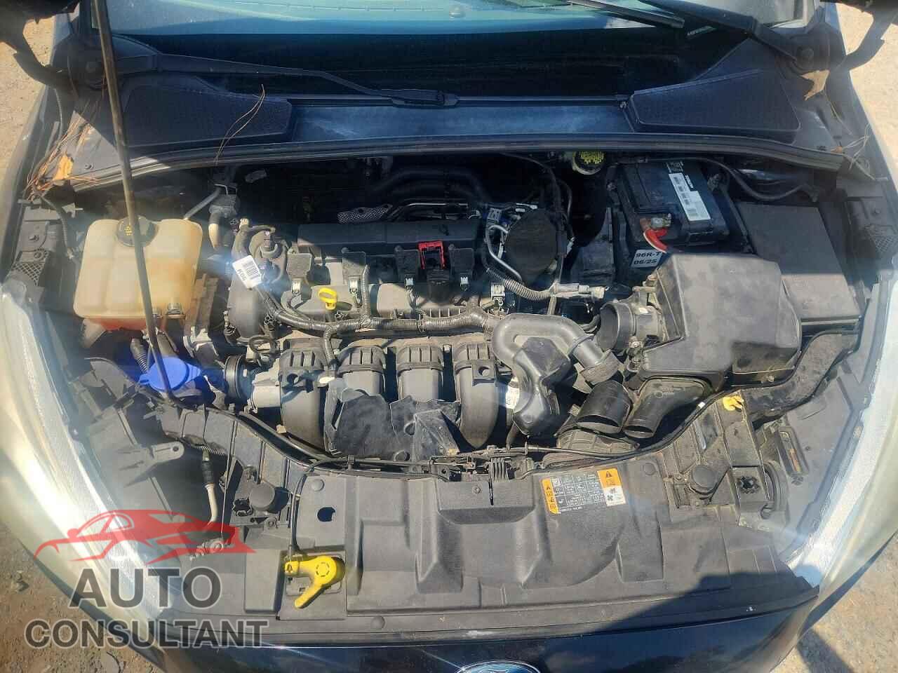FORD FOCUS 2016 - 1FADP3F20GL285577
