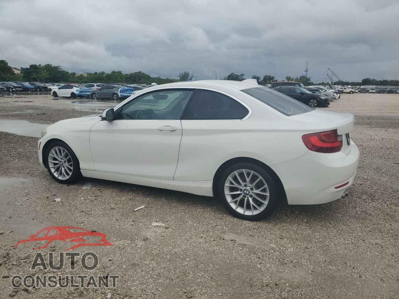 BMW 2 SERIES 2015 - WBA1F5C56FV256563
