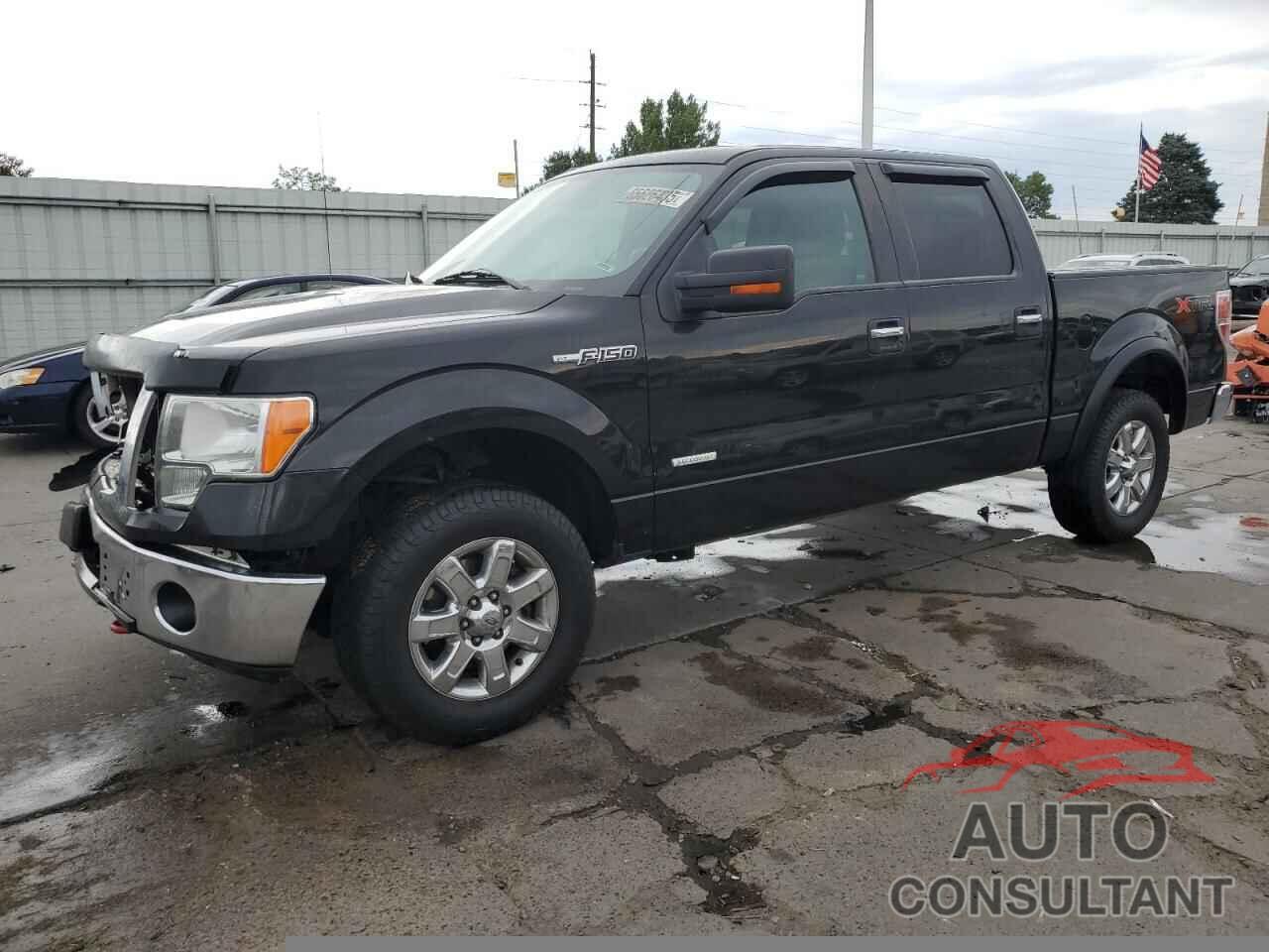FORD F-150 2013 - 1FTFW1ET1DKE13346