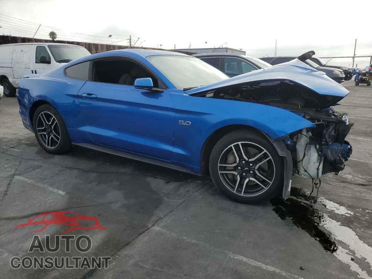 FORD MUSTANG 2019 - 1FA6P8CF6K5118747