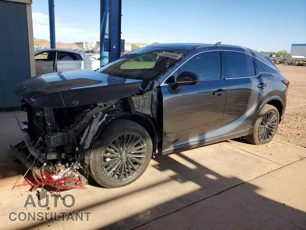 LEXUS UNKNOWN 2024 - 2T2BBMCA6RC058059