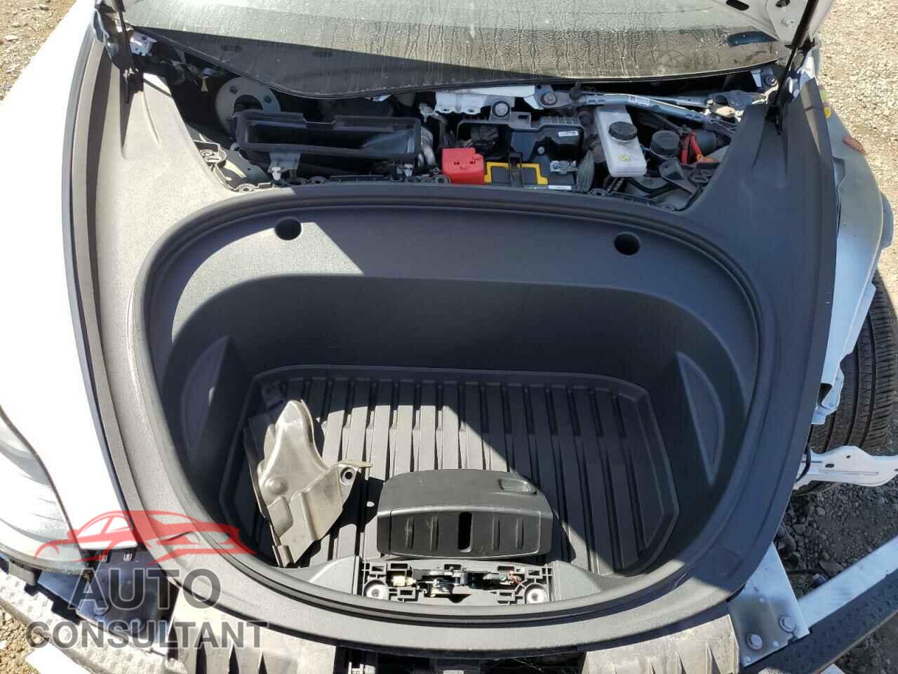 TESLA MODEL 3 2021 - 5YJ3E1EA3MF877904
