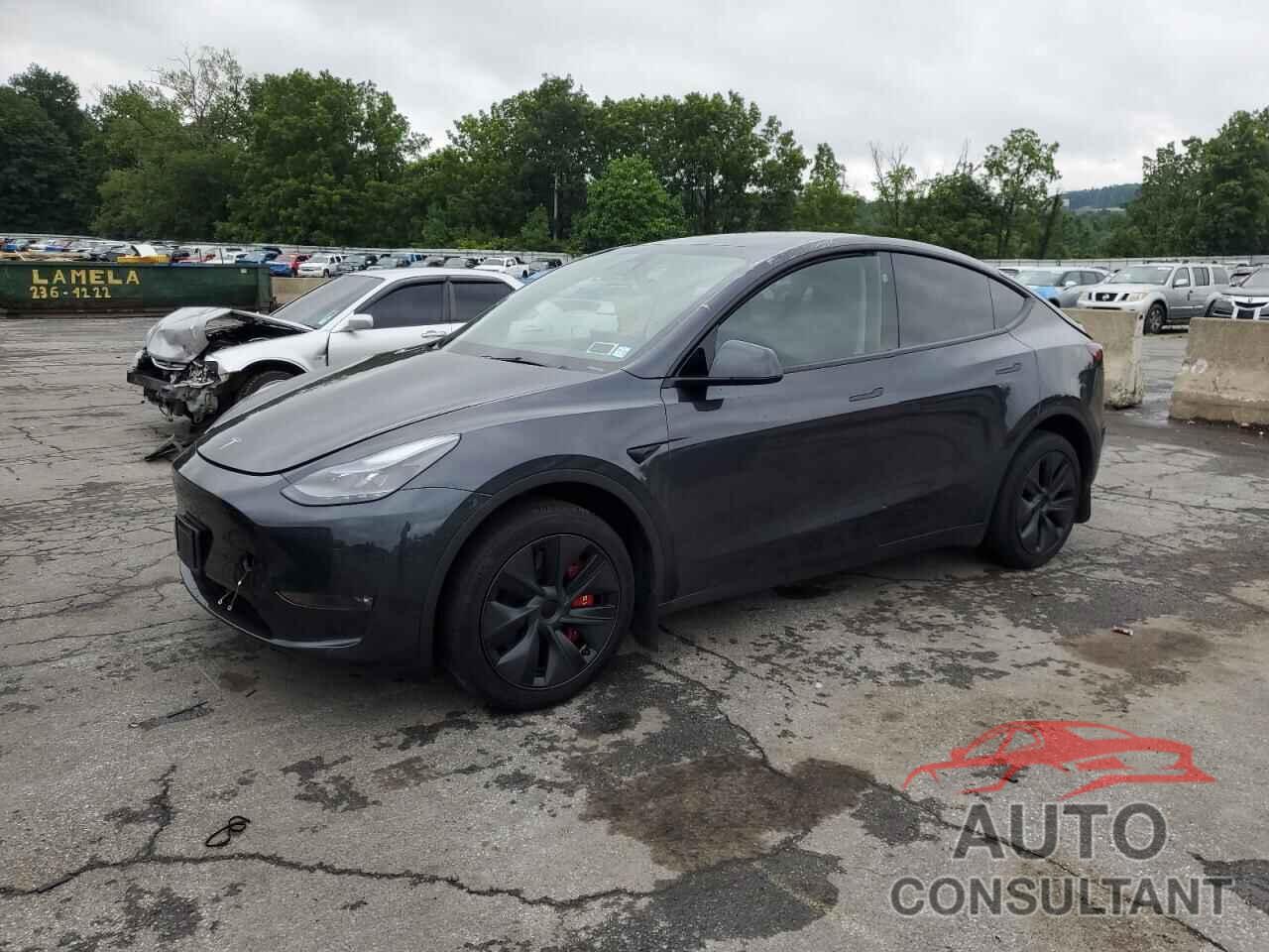 TESLA MODEL Y 2024 - 7SAYGDEE9RF156498
