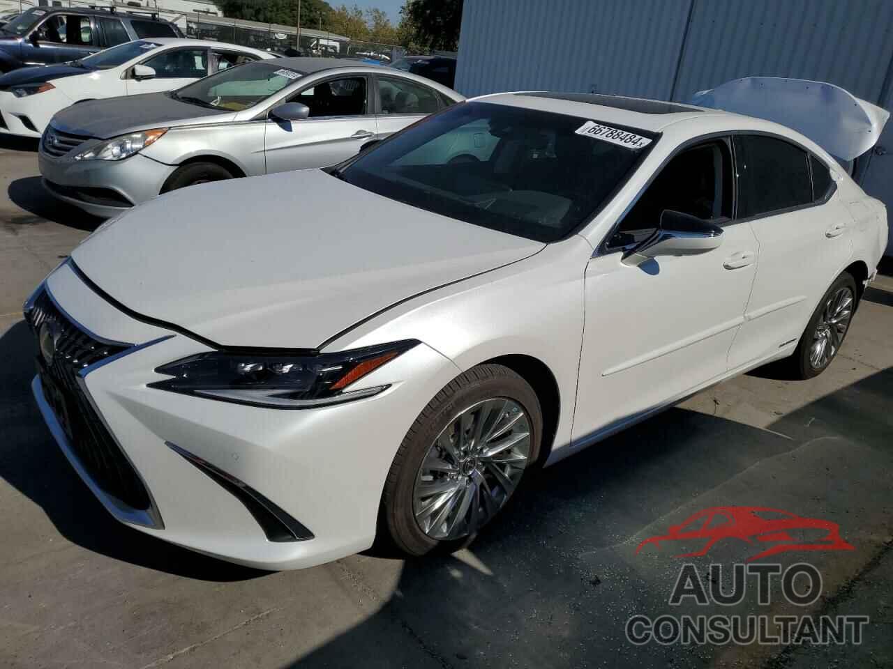 LEXUS ES300 2022 - 58AEA1C16NU019833