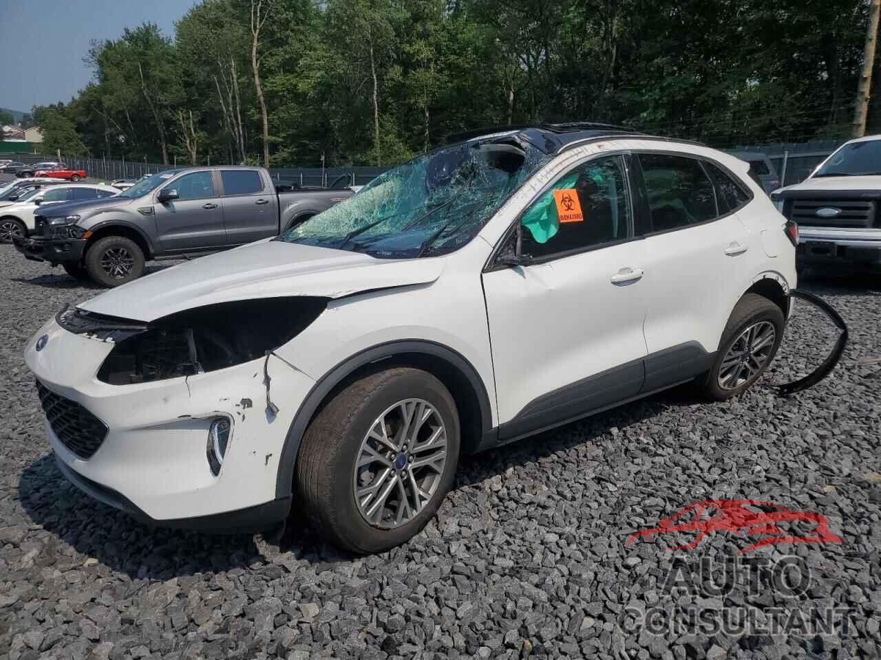 FORD ESCAPE 2022 - 1FMCU9H69NUB91718
