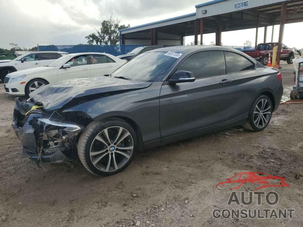 BMW 2 SERIES 2016 - WBA1F9C58GV544884