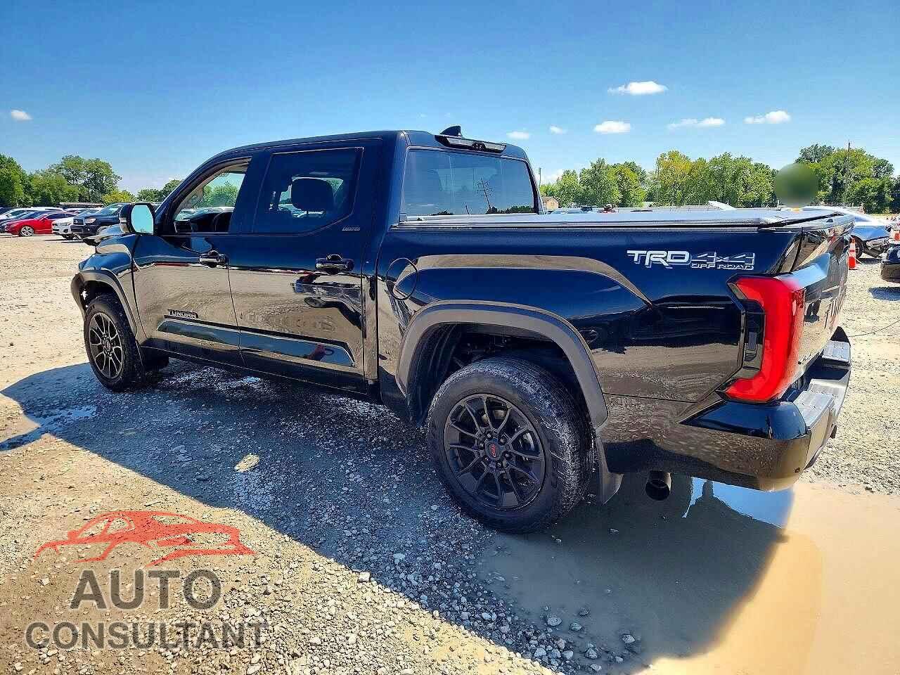 TOYOTA TUNDRA 2024 - 5TFWC5DB6RX063473