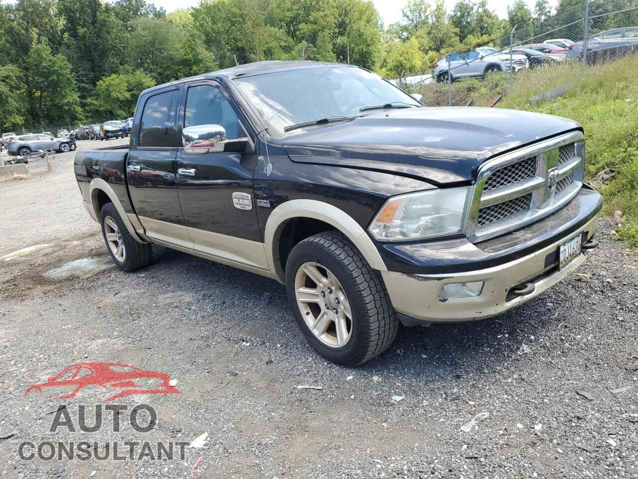 DODGE RAM 1500 2012 - 1C6RD7PT3CS133940