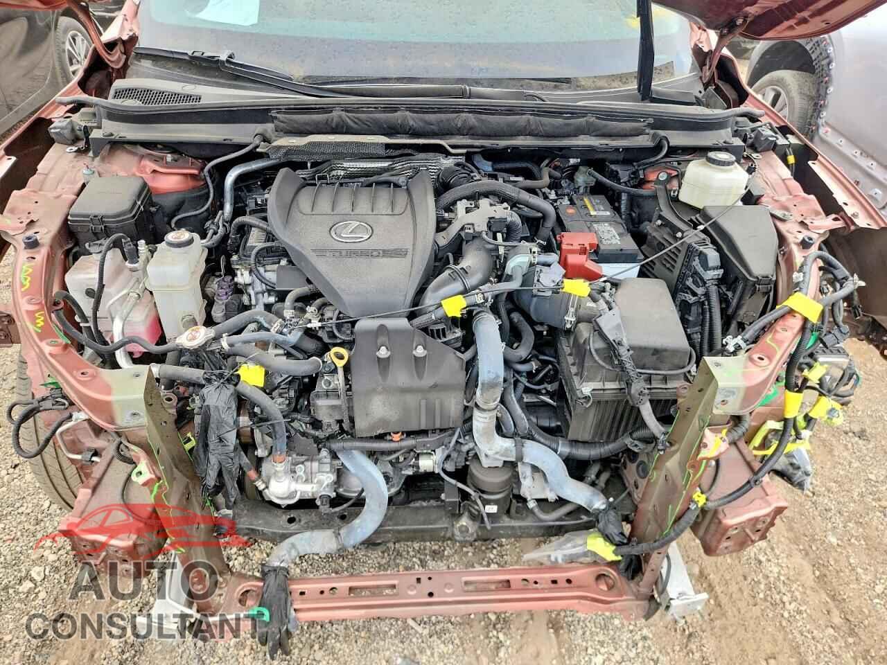 LEXUS RX300 2023 - 2T2BAMCA1PC010680