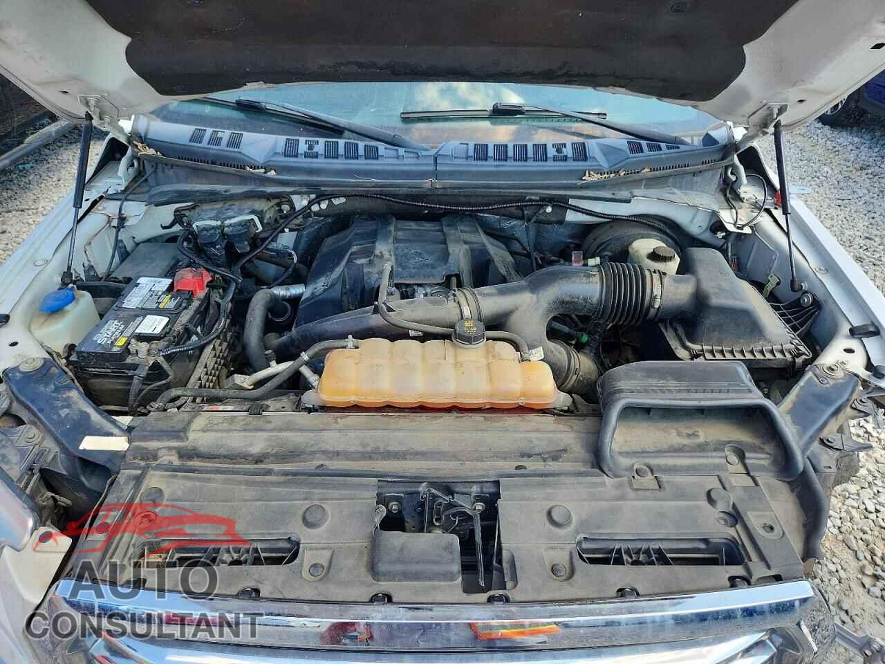 FORD F150 2015 - 1FTEW1CP8FKE60460
