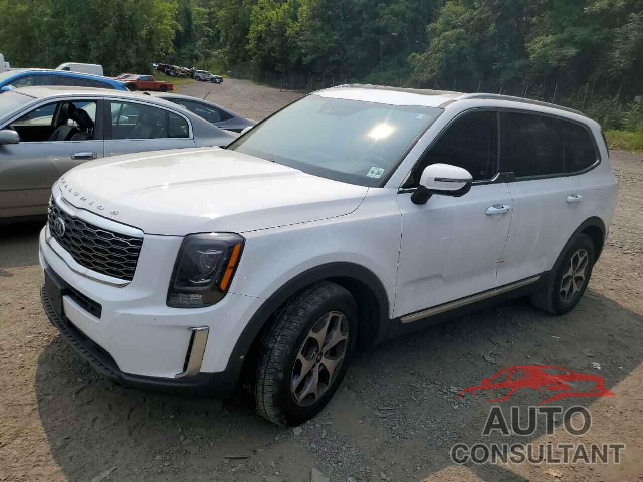 KIA TELLURIDE 2021 - 5XYP3DHC2MG178147