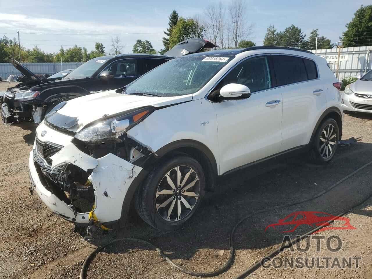 KIA SPORTAGE 2018 - KNDPNCAC7J7471131