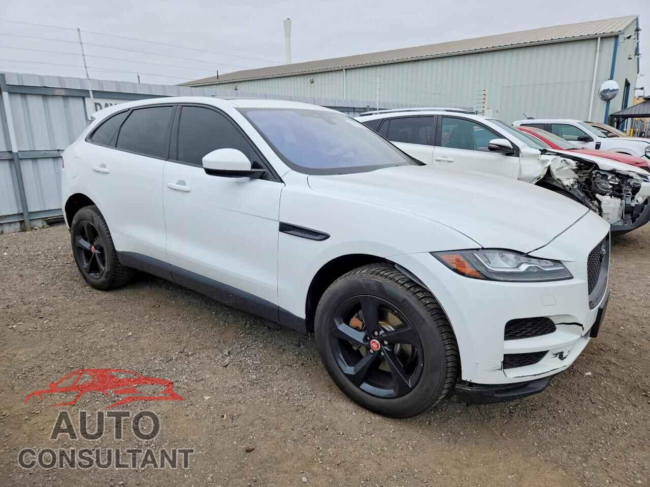 JAGUAR F-PACE 2019 - SADCK2FX1KA361004