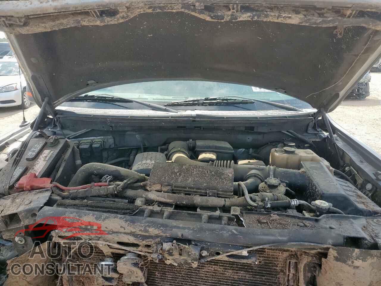 FORD F-150 2010 - 1FTFW1CV0AKE41316