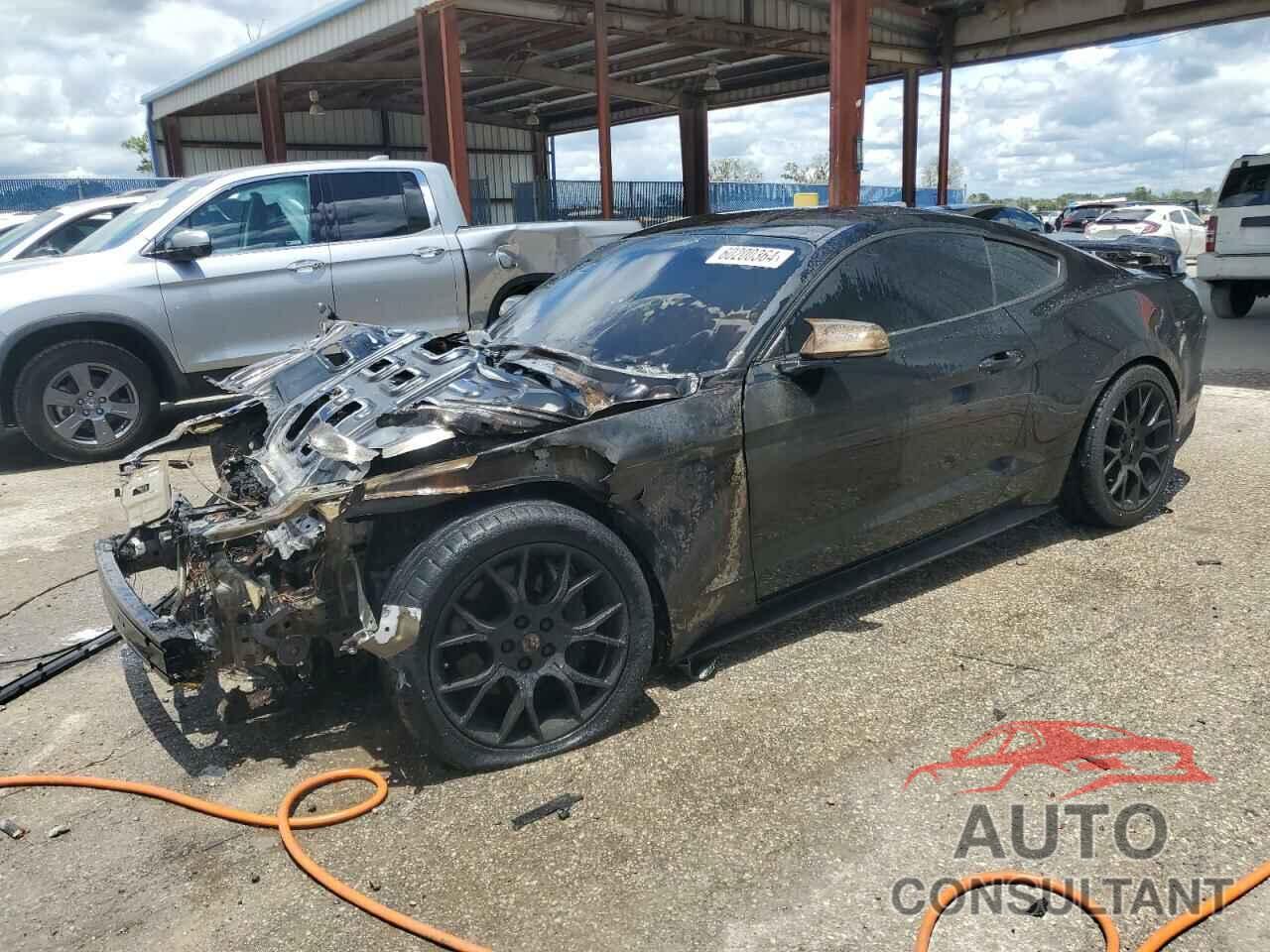 FORD ALL OTHER 2019 - 1FA6P8THXK5147931