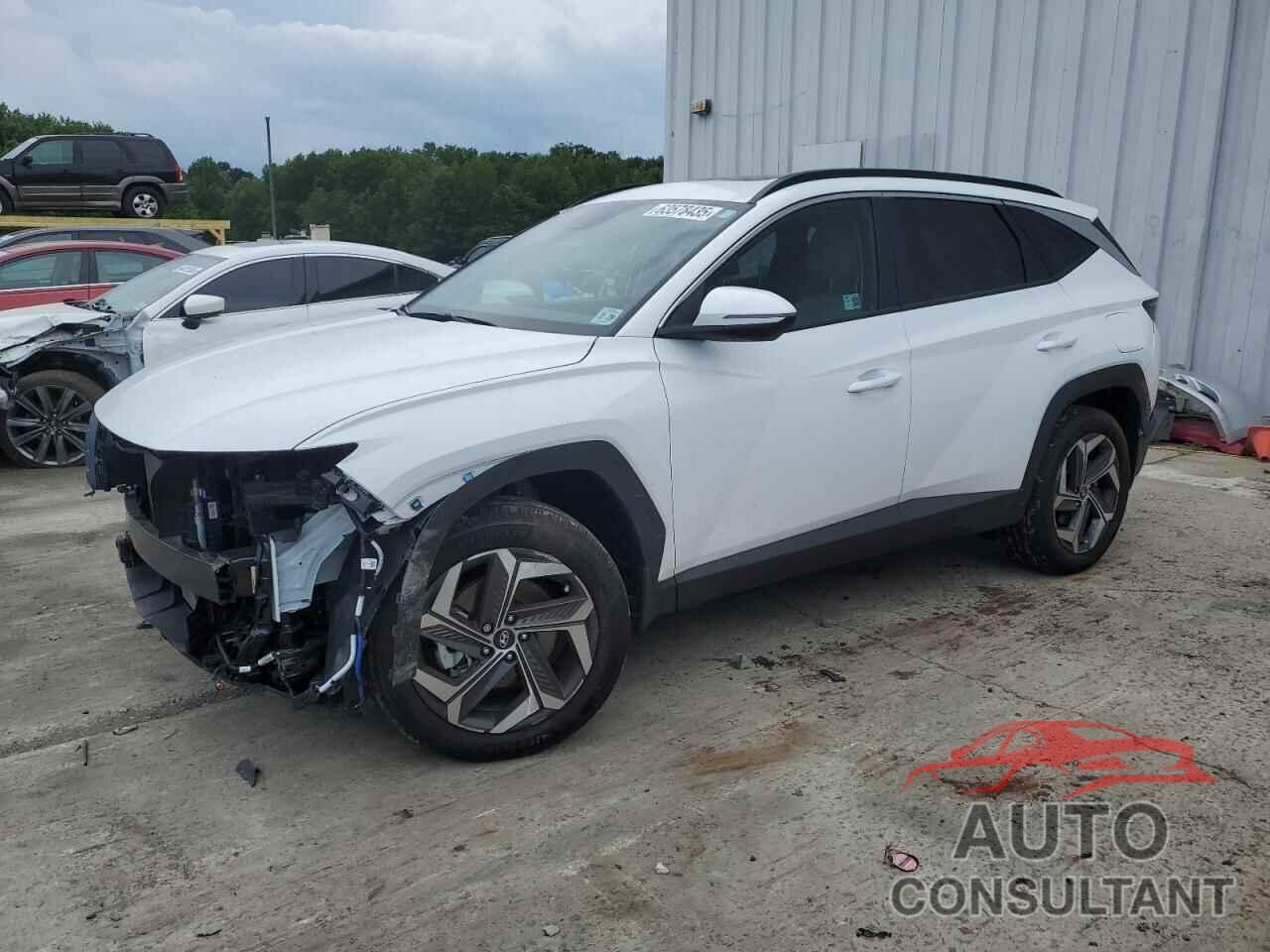 HYUNDAI TUCSON 2024 - 5NMJFCDE5RH379908