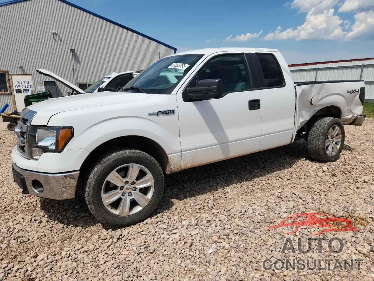FORD F-150 2014 - 1FTFX1EFXEKD82073