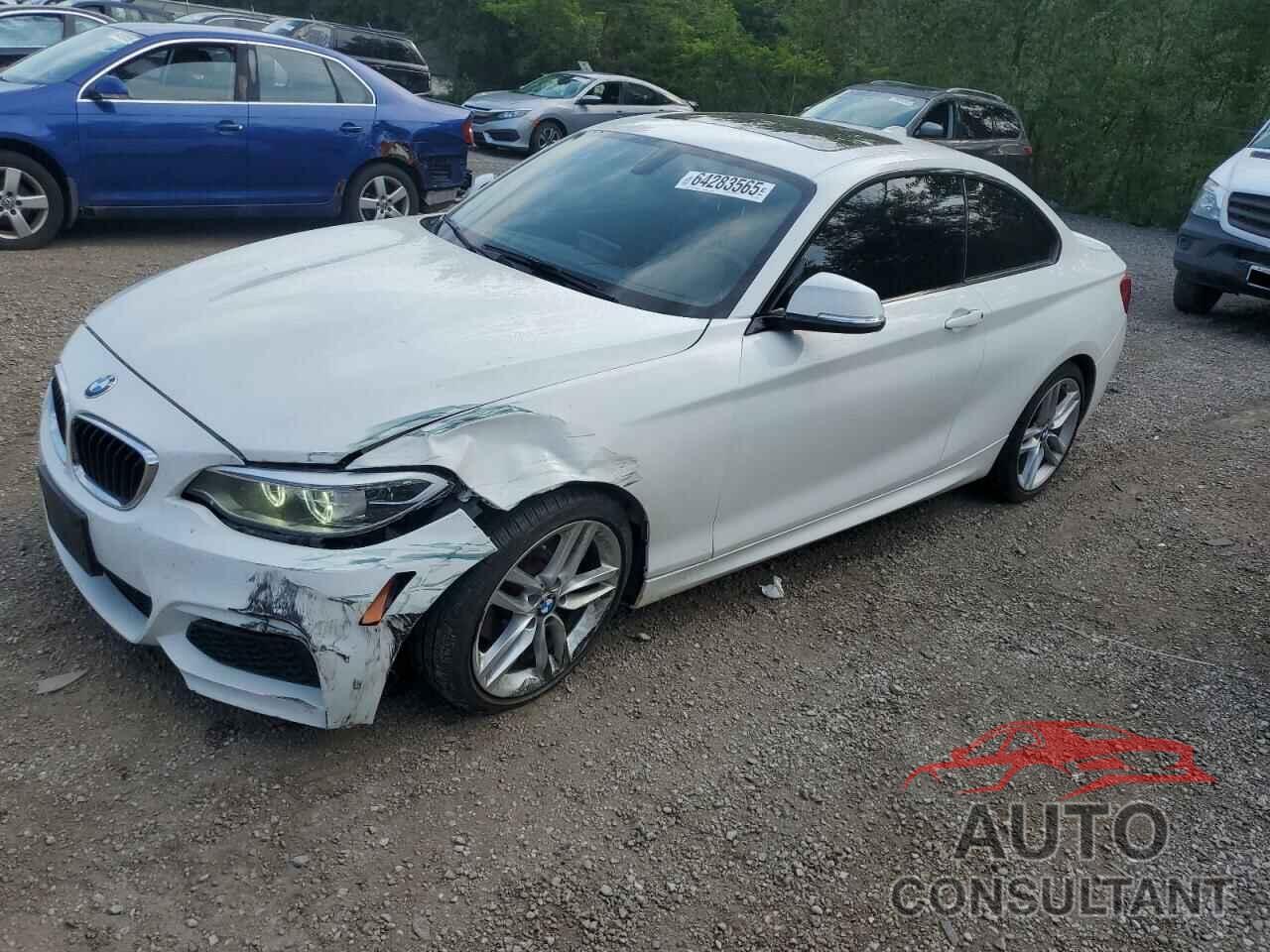 BMW 2 SERIES 2016 - WBA1G9C54GV727132
