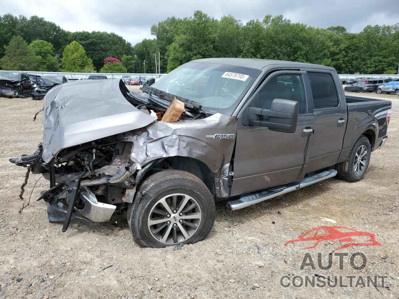FORD F-150 2010 - 1FTEW1C83AKE34334